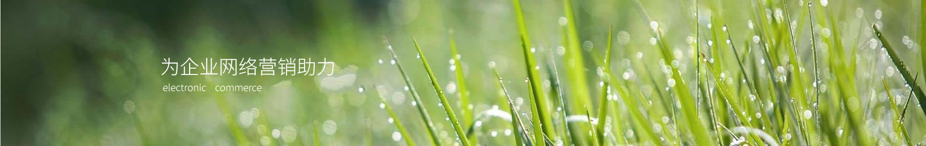 ӦݣƼ޹˾